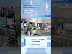boxing packing machine naaisi