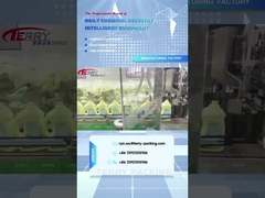 2L cleaning care products shengdailisha